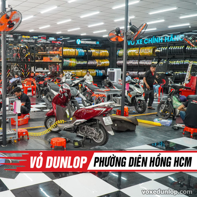 Bán vỏ dunlop phường diên hồng hcm - 1