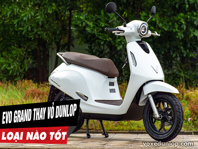 Thay vỏ xe evo grand loại nào tốt giá vỏ dunlop bao nhiêu - 1